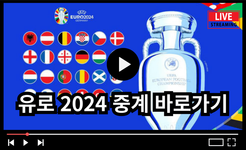유로 2024 축구 중계 보러가기