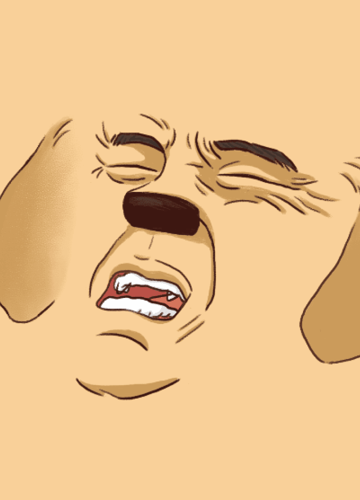 연애고자 테스트 시작하기
